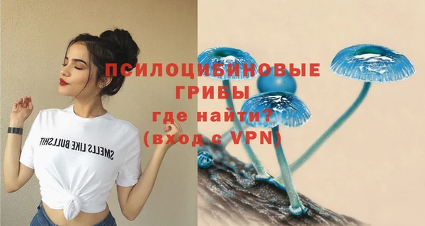 СК Гусев