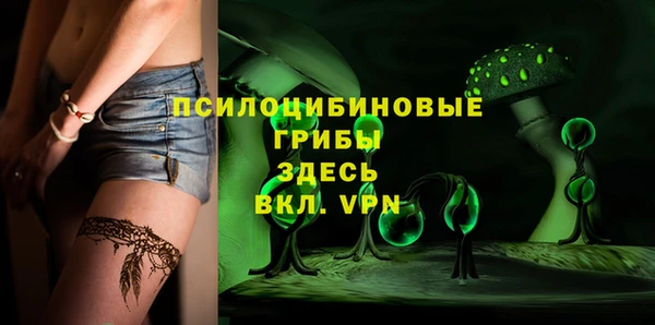 apvp Горно-Алтайск