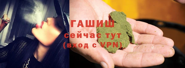 индика Котовск