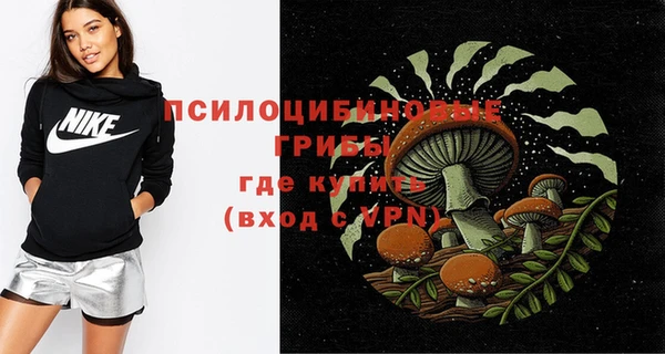 дживик Гусь-Хрустальный