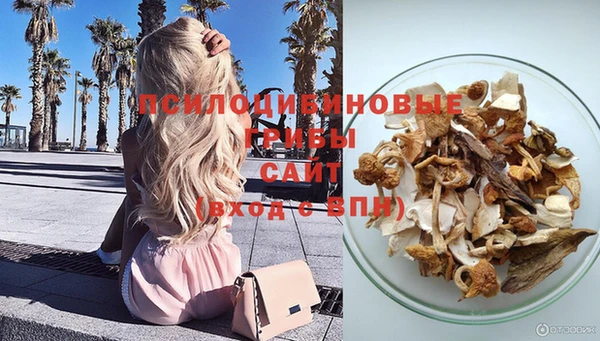 spice Дмитров