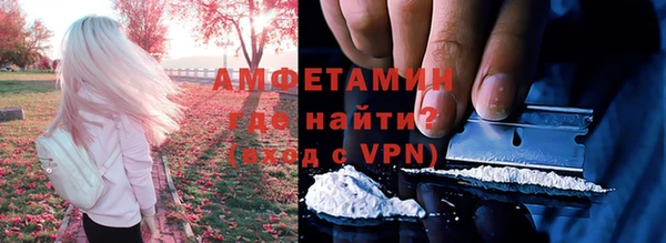 дживик Гусь-Хрустальный